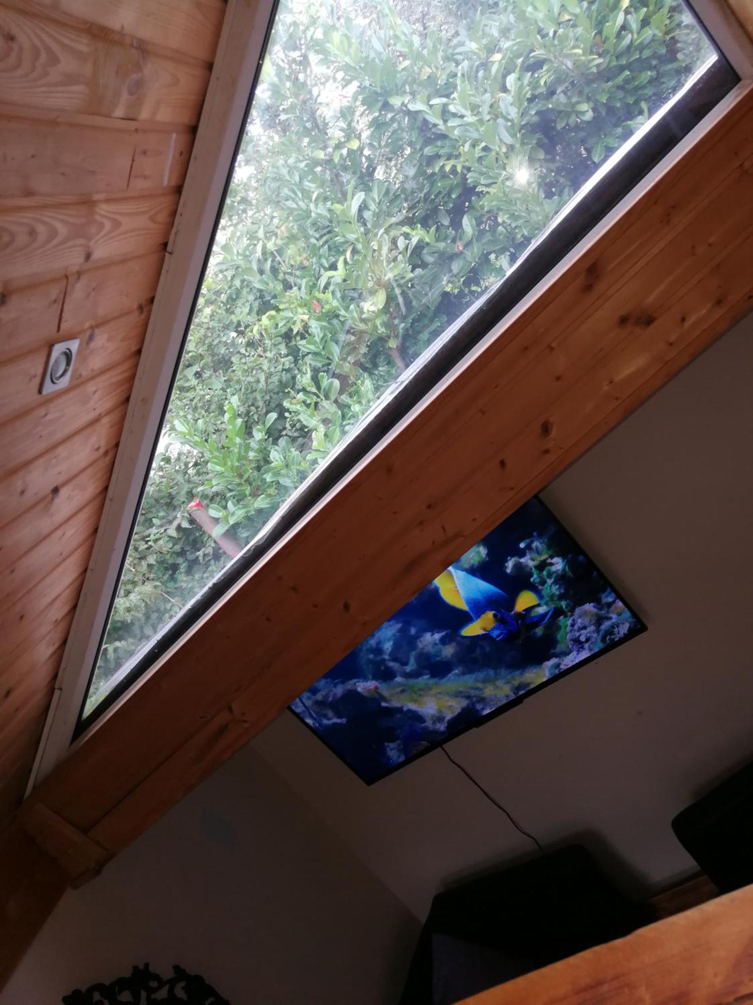 Wohlfuehloase - Zimmer, Appartment - Im Herzen Starnbergs الغرفة الصورة